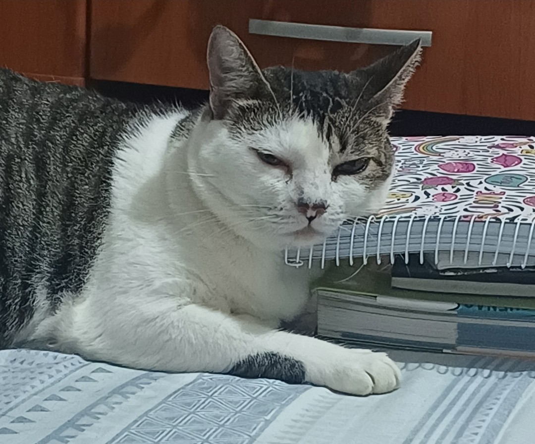 Soraya